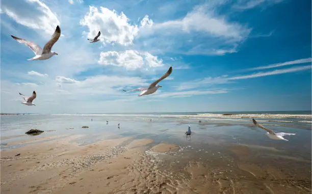 Leertraject natuurfotografie in Ouddorp